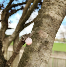 Load image into Gallery viewer, Pearl Pendant